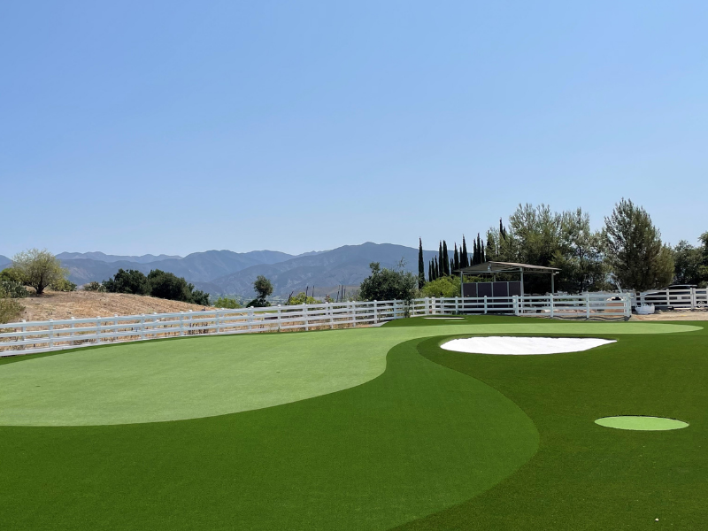 Luxury modern home with premium artificial turf lawn